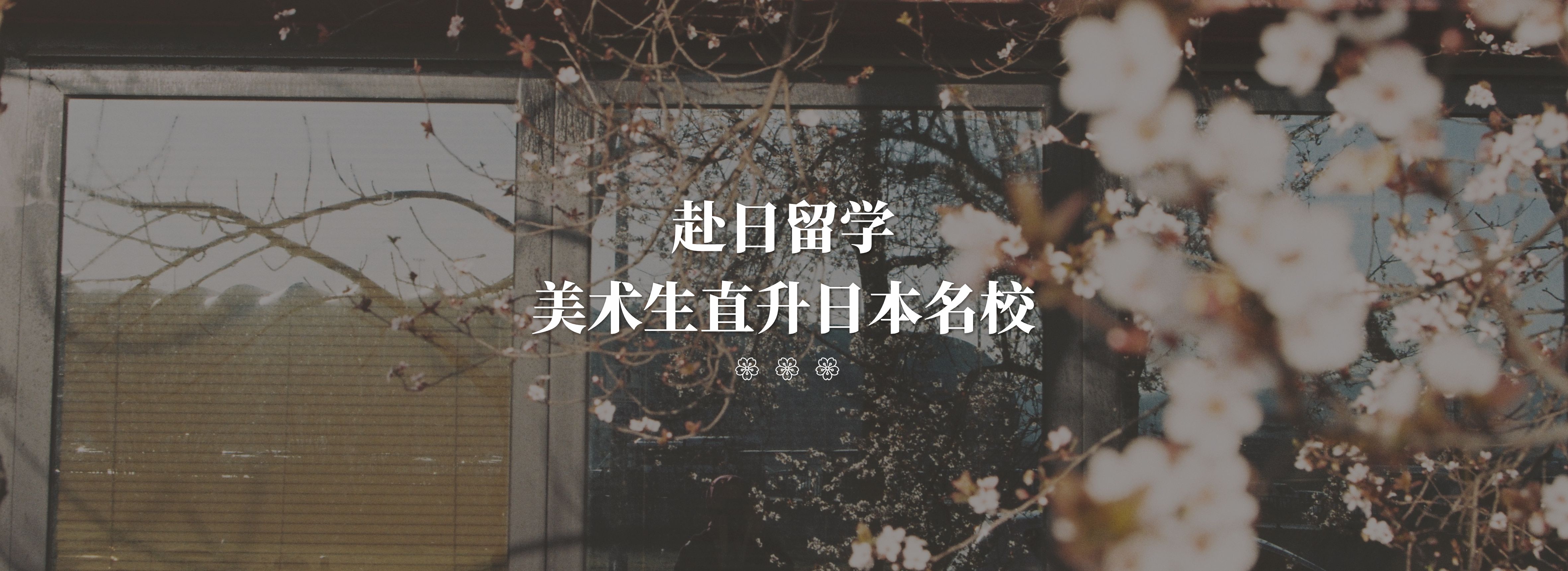 藝術(shù)生升學(xué)